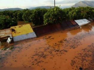 Φωτογραφία για Αιτωλοακαρνανία: Πνίγηκαν κοπάδια από τη βροχή - Μεγάλες καταστροφές στις καλλιέργειες
