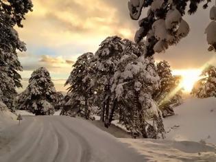 Φωτογραφία για Εικόνες από τα χιονισμένα χωριά των Ιωαννίνων...[photos]