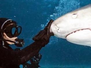 Φωτογραφία για TΡΟΜΑΚΤΙΚΕΣ ΦΩΤΟΓΡΑΦΙΕΣ από το εσωτερικό του στόματος ενός καρχαρία...[photos]