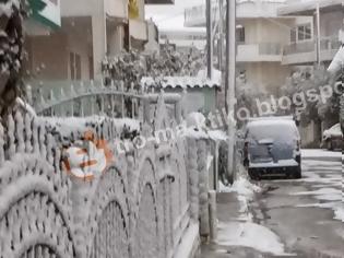 Φωτογραφία για Ο Γιώργος από τον Γέρακα Αττικής μας στέλνει λευκές εικόνες...