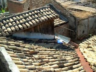 Φωτογραφία για Πάτρα: Ένας ονειρεμένος μικρόκοσμος πάνω στις στέγες των σπιτιών - Δείτε φωτο