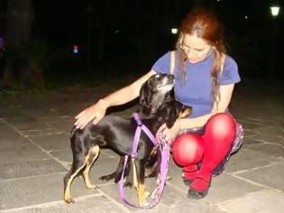 Φωτογραφία για Πάτρα: Αναβλήθηκε η δίκη για τον άνδρα που έσερνε τη σκυλίτσα με το μηχανάκι