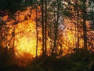 Φωτογραφία για Ο ρόλος των δασικών πυρκαγιών στην υπερθέρμανση του πλανήτη