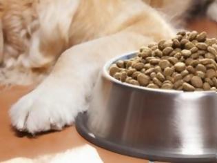 Φωτογραφία για Προσοχή! Αν δίνεται αυτή την τροφή στο σκύλο σας πετάξτε την αμέσως!