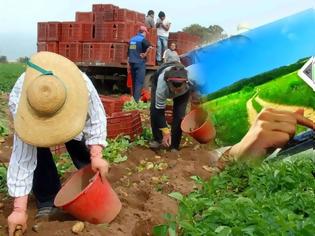 Φωτογραφία για Βόμβα! Δεσμεύει τα λεφτά των αγροτών η κυβέρνηση για να καλύψει τις δανειακές ανάγκες της χώρας