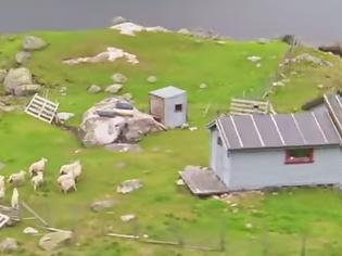 Φωτογραφία για Βίντεο - Ντοκουμέντο! Ποιος πολύ γνωστός τραγουδιστής πήρε τα βουνά και... βόσκει πρόβατα; [video]