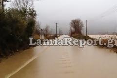 Φθιώτιδα: Πλημμύρισε και πάλι ο Σπερχειός - Έκλεισε ο δρόμος προς Γοργοπόταμο