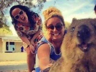Φωτογραφία για Οι Αυστραλοί ανακαλύπτουν το «πιο χαρούμενο ζωάκι του κόσμου»