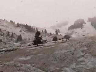 Φωτογραφία για Καλάβρυτα: Χιονίζει ασταμάτητα στο Χελμό! Μέχρι  το απόγευμα ανοιχτό αύριο το Χιονοδρομικό