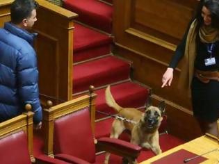 Φωτογραφία για ΑΠΙΣΤΕΥΤΟ: Σκύλος έκανε βόλτες μέσα στη Βουλή! [photos]