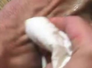 Φωτογραφία για ΕΚΠΛΗΚΤΙΚΟ - ΤΕΛΕΙΟ ΚΟΛΠΟ! Έβαλε λίγο ελαιόλαδο στο χέρι του και... [video]
