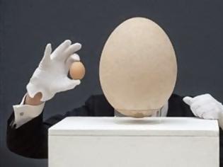Φωτογραφία για Γιγαντιαίο ημι-απολιθωμένο αυγό βγαίνει στο σφυρί