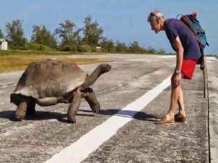 Φωτογραφία για Εξερευνητής του National Geographic διέκοψε τη χελώνα από τα συζυγικά της καθήκοντα και δείτε τι έγινε