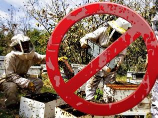 Φωτογραφία για ΑΠΟΚΑΛΥΨΗ: ΔΙΩΧΝΟΥΝ τους μελισσοκόμους μαρτυρίες που σοκάρουν