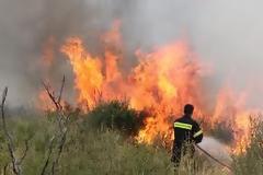 Υπό έλεγχο τέθηκε η φωτιά στον υδροβιότοπο του Άγρα