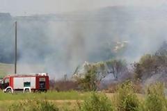 Απόπειρα εμπρησμού στο δάσος της Κατασκήνωσης στην Παραμυθιά