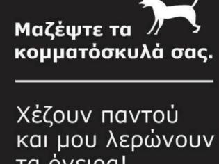 Φωτογραφία για Χαμός στο Facebook: Μαζέψτε τα κομματόσκυλα... Μου λερώνουν τα όνειρα!