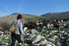 Οι νέοι Ιταλοί γίνονται βοσκοί