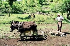 Θανάσιμος τραυματισμός 68χρονου αγρότη στο Κιλκίς