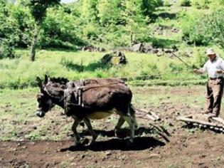 Φωτογραφία για Θανάσιμος τραυματισμός 68χρονου αγρότη στο Κιλκίς