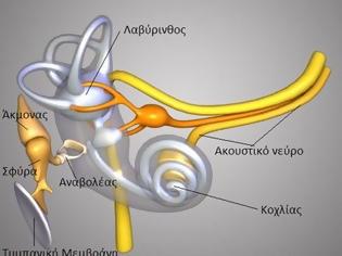 Φωτογραφία για Βουίζουν τα αυτιά σας; Φάτε... πασατέμπο