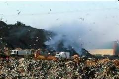 Ο καρκίνος θερίζει στον δήμο Φυλής στην Αττική, αναγνώστης κρούει τον κώδωνα του κινδύνου