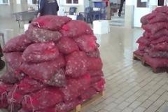 Αλεξανδρούπολη: Μετέφερε παράνομα ενάμιση τόνο όστρακα