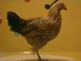 Φωτογραφία για Η χορευταρού κότα! [Video]