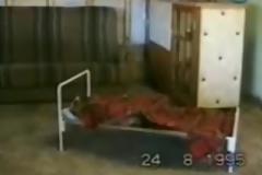 Όταν τα ζώα έχουν όρεξη για αταξίες η κάμερα καταγράφει απίστευτα διασκεδαστικές σκηνές!