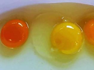 Φωτογραφία για ΠΡΟΣΟΧΗ με τα αυγά! Πότε ο κρόκος αποτελεί διατροφική βόμβα για τον οργανισμό – Τί μαρτυρά το χρώμα του – Τί πρέπει να προσέχετε!