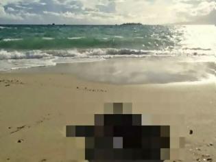 Φωτογραφία για Έμειναν με το στόμα ανοικτό! Δείτε τι αντίκρισαν περαστικοί σε παραλία της Νάξου... [photo]