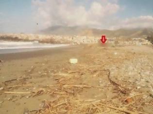 Φωτογραφία για Δείτε τι ξέβρασε η θάλασσα στην παραλία του Κόκκινου Πύργου - Οι εικόνες που προκάλεσαν σάλο! [photos]