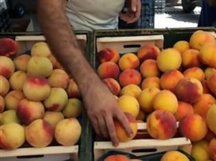 Φωτογραφία για Στις 20 Απριλίου ξεκινούν οι έλεγχοι ελληνικών αγροτικών μονάδων