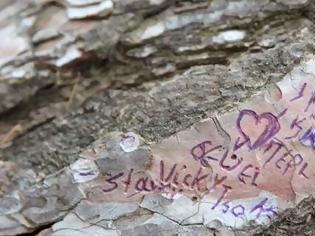 Φωτογραφία για Από πού εμπνεύστηκε η Βίκυ Σταμάτη το μήνυμα που χάραξε στο δέντρο