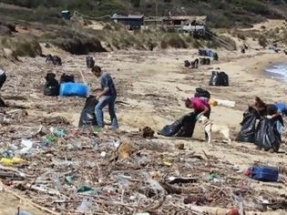 Φωτογραφία για ΣΟΚ στην Σκιάθο Νεκρά δελφίνια και χελώνες αντίκρισαν σε παραλίες της Σκιάθου