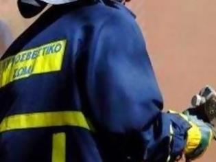 Φωτογραφία για Αγροικία στην Άρβη έγινε… στάχτη