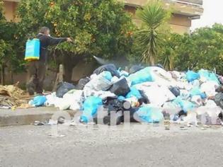 Φωτογραφία για Πύργος: Σε απόγνωση οι κάτοικοι, ψεκάζουν τα σκουπίδια!