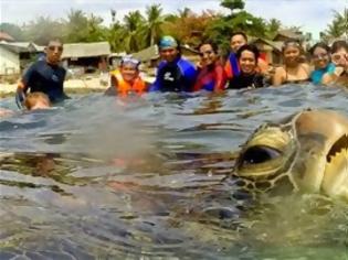 Φωτογραφία για Το… photobomb της θαλάσσιας χελώνας