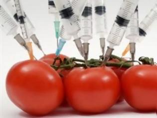 Φωτογραφία για Πράσινο φως της Ε.Ε. για την κυκλοφορία γενετικά τροποποιημένων τροφών