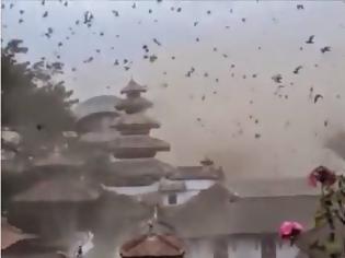 Φωτογραφία για To βίντεο προκαλεί ΣΟΚ! Η αντίδραση των πουλιών την ώρα του σεισμού στο Νεπάλ... [video]