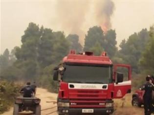 Φωτογραφία για Πυρκαγιά σε εξέλιξη στη Σάμο - Ισχυρή πυροσβεστική δύναμη στην εστία...