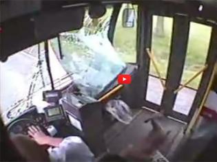 Φωτογραφία για Απίστευτο ατύχημα...Λεωφορείο χτύπησε ελάφι με πολύ απρόσμενη κατάληξη (Video)