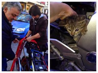 Φωτογραφία για Γάτος σφήνωσε σε μοτοσικλέτα στην Καβάλα – Σχεδόν τη διέλυσαν για τον απελευθερώσουν!