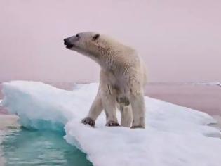 Φωτογραφία για Σοκαριστικό: Η κλιματική αλλαγή θα εξαφανίσει το 1/6 των ειδών