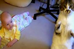 Η μαμά αφήνει το μωρό της στο χαλί! Δείτε τη φοβερή αντίδραση της γάτας! [Video]