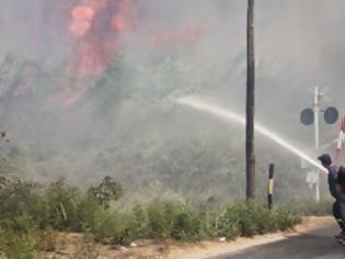 Φωτογραφία για Στο «κόκκινο» για τις πυρκαγιές η Ηλεία
