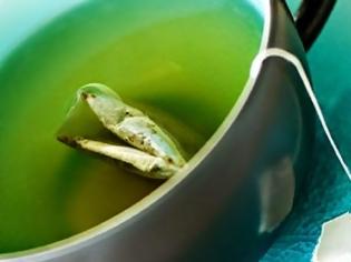 Φωτογραφία για Οι 6 σοβαρές παρενέργειες, που προκαλεί το πράσινο τσάι