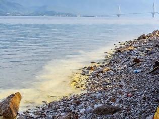 Φωτογραφία για Πάτρα : Απαγορεύεται το κολύμπι σε Αγυιά και πλαζ μέχρι να βγουν αποτελέσματα για την θαλάσσια ρύπανση
