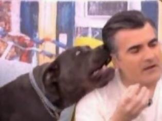 Φωτογραφία για Ο σκύλος της Σπυροπούλου... επιτέθηκε στους συνεργάτες της εκπομπής on air [video]