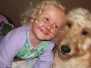 Φωτογραφία για Θα συγκινηθεί και ο πιο σκληρόκαρδος: Πώς ένας σκύλος δίνει ζωή σε ένα κοριτσάκι [video]